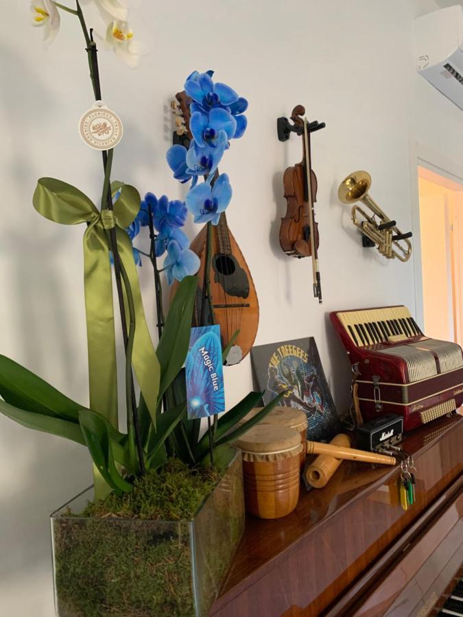 Music House Palinuro Bed and Breakfast Eksteriør billede